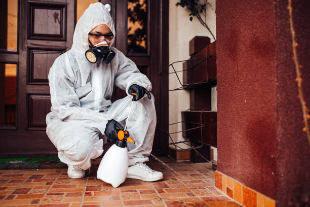 Reliable Cockroach Control contractor in Rolling Meadows, IL by Nex Pest Control